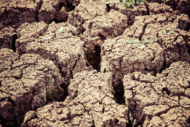 desertification of farmland